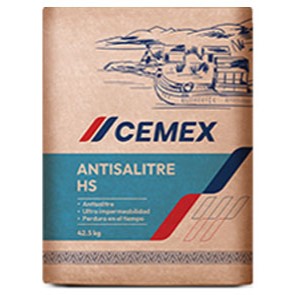 Cemento Antisalitre HS